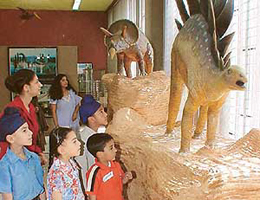 Children look at a model of a dinosaur during their trip to the Natural History Museum in Sector 10, Chandigarh, on Sunday.