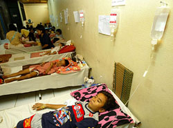 Dengue-fever patients lie in beds in a hospital hallway in Jakarta