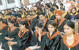 A section of degree-holders