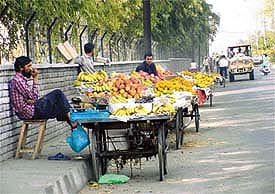 A road near Kitchlu Nagar which is becoming a favourite with roadside vendors