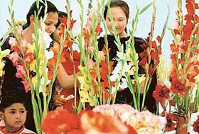Girls admire some of the winning entries of flower arrangements at the Spring Fest in Panchkula