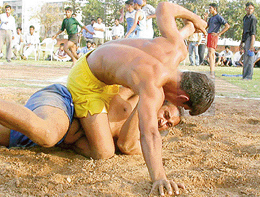 A wrestling bout in progress at the annual rural sports meet at Sports Complex, Sector 46, Chandigarh, on Wednesday. 