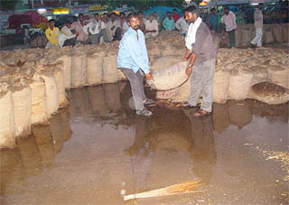 The foodgrain surpluses are illusionary. Being pest and rodent infested, and exposed to the rain, these have not been checked for quality. 