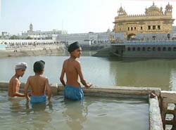 Kids take a dip near the "safety wall", which is now visible after water has been released from the Holy Tank of the Golden Temple