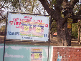 Posters of the Samajwadi Party pasted on a hoarding of the Fish Farmers Development Agency in Karnal