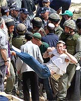 Israeli troops scuffle with settlers as they start to bulldoze a Jewish outpost near the West Bank city of Hebron on Wednesday