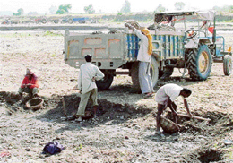 Illegal mining being carried out from the Ghaggar river bed near Sector 28 of Panchkula Extension on Friday.