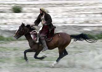 An Afghan player rides with the calf during a buzkashi game