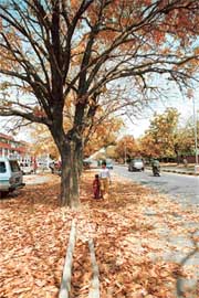 Photo by Pankaj Sharma