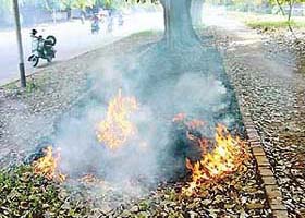 Leaves being burnt on a side of the Sector 18-19 dividing road in Chandigarh