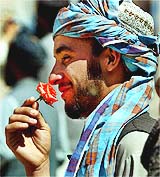 A freed prisoner smells a rose from the jail garden during a ceremony in which 34 prisoners were released in the southern Afghan city of Kandahar 