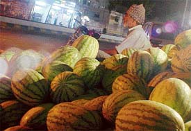 Such is the fondness for watermelons that buyers stop to pick up one melon before going home