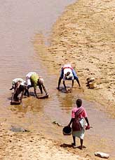 Unaware of the Bharat Uday Yatra, which passed near by them, tribal women are busy fishing in a dried up river at a village in Janjgir district