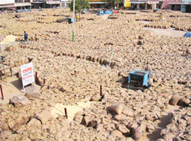 Wheat bags pile up in Mandi Ahmedgarh market on Tuesday