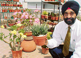  Brig C.S. Bewli with his collection of cacti and succulents