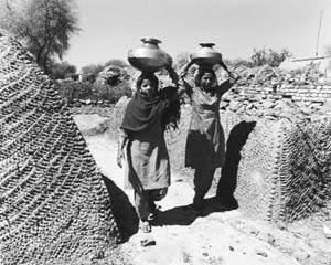 Leave aside irrigation, water is scarce even for drinking in villages