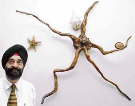 Brig C.S. Bewli with a starfish carved out of the root of an uprooted tree