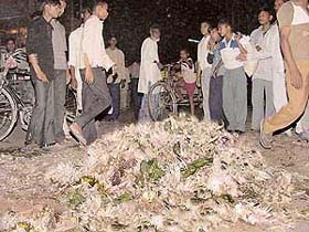 Garbage dumped on a Mauli Jagran road by contract workers of the area to protest against the non-payment of their salary