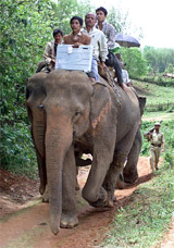 Election officials carry electronic voting machines on elephants at a village near Guwahati on Monday