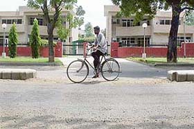 The authorised gap in the centre verge on the road in front of the houses of the Senior PUDA officials in Mohali