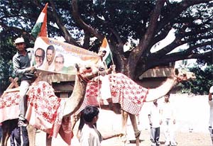 Congress workers mounted on camels campaign for their party candidates at a village in Karnataka
