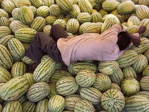 A watermelon seller takes a siesta on a hot Wednesday afternoon in Patiala