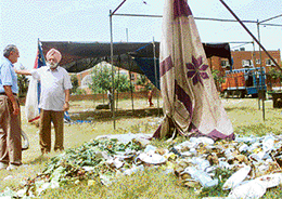 Litter in front of houses in Sector 33, Chandigarh, is a cause of concern for the local residents. 