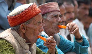 Two elderly men enjoy ice lollies at a BJP poll rally in Rohru