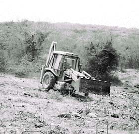 Clearing the proposed garbage site of trees and bushes