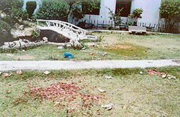 Vegetable peels and leftovers littered all over the park after the function. 