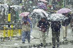 Kashmiris walk with colourful umbrellas as snow falls in Srinagar on Friday.