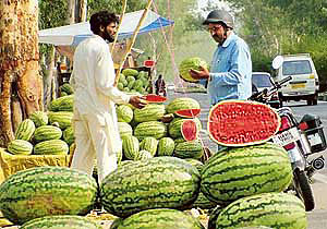 Water melon vendors on the national highway at Phillaur cause traffic hazard.