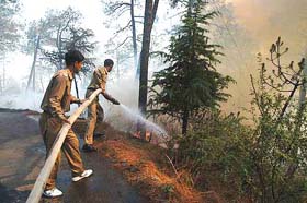 Firemen control the fire in the Sankat Mochan forest near Shimla on 