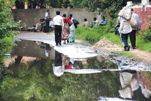 Stagnant water, seeping out of a clogged sewer has made the road adjacent to the University Grants Commission a nightmare for all those who have to use it to reach their offices. 