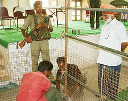  Labourers erect a fence at a vote-counting centre in Jalandhar on Wednesday. 