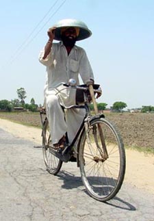 With the mercury soaring, a farmer at Sahauli village makes use of a basin to ward off the sun