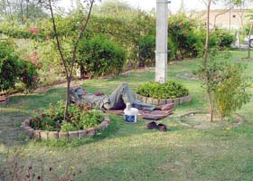 Photo: Parvesh Chauhan