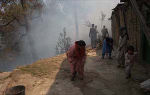 Women uproot grass from the compound of their house in view of a fire in nearby forests at Tutikandi in Shimla on Monday. 
