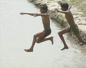 Boys plunge into Sultwind Canal to beat the heat in Amritsar on Monday.