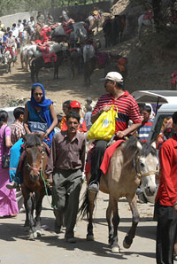 Tourists enjoy pony ride at Kufri