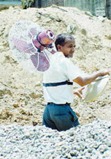 To beat the intense heat wave, a Ludhiana resident carries home another newly bought pedestal fan