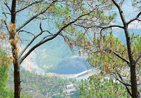 Morni represents the pristine glory of the lower Shivaliks