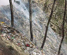 Garbage being burnt in the Hiranagar forest area, Hamirpur, on Saturday, the World Environment Day.