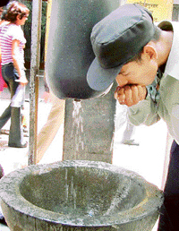 Photo by Parvesh Chauhan