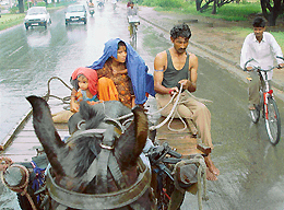 Caught unawares by rain, this family sits drenched on a cart in Chandigarh on Monday.