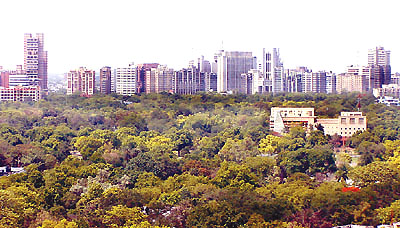 Is the Capital�s green cover increasing or diminishing?