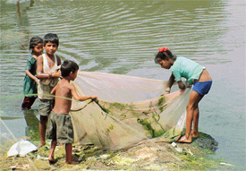 Photo by Pradeep Tewari