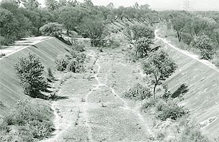 The SYL canal has got linked with the livelihood of thousands of farmers in Punjab 