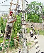 Electricity employees disconnect kundi connections of Amb colony in Mohali on Friday. 