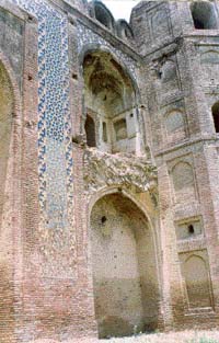 The paste coming off the walls at the Mughal Sarai